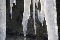 Icicles 