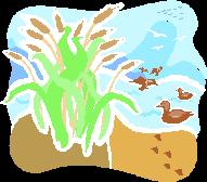 Ecosystem 