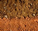 Soils 