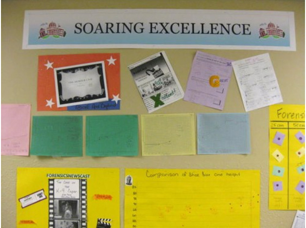 Soaring Excellence