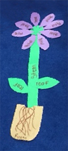 Paper flower with labeled parts Paper flower with labeled parts