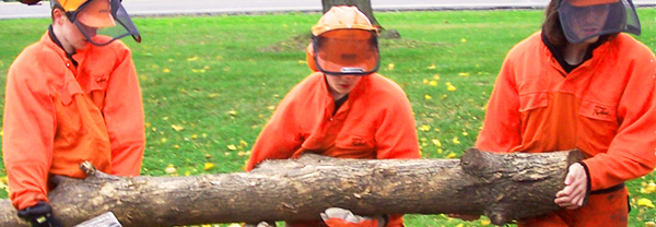 Students processing firewood