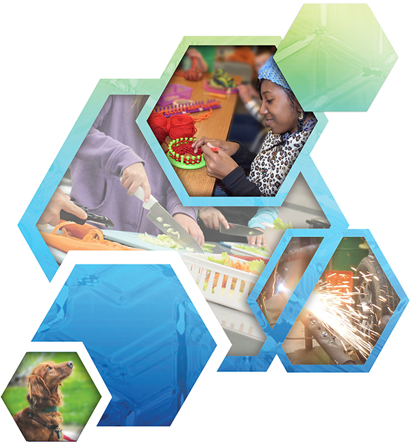 Multi-Occupational/FOCUS Programs Multi-Occupational/FOCUS Programs