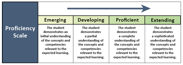 Sample Proficiency Scale